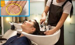 Tại sao gội đầu ở tiệm lại giữ được mùi thơm lâu? Làm thế nào để gội đầu ở nhà cũng được như thế