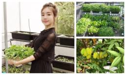 Choáng ngợp với vườn rau quả sạch trên sân thượng của bà mẹ hai con Elly Trần