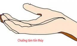 Bất kể là nam hay nữ, chỉ cần sở hữu đặc điểm này trên tay thì nghèo mấy cũng sẽ có ngày phát tài, giàu có phú quý tự đến