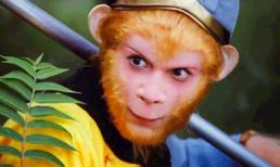 Tôn Ngộ Không rốt cuộc là nhân vật nào trong lịch sử?