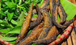 4 thực phẩm rẻ tiền tốt ngang nhân sâm: Muốn bồi bổ sức khỏe thì không cần phải tìm đâu xa