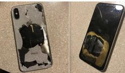 Apple vào cuộc điều tra về việc một chiếc iPhone X phát nổ tại Mỹ