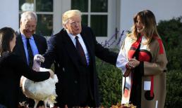 Mặc áo khoác giá hơn 200 triệu đồng nhưng Đệ nhất phu nhân Mỹ lại trở thành trò cười cho cư dân mạng 