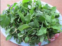 Loại rau giàu canxi được mệnh danh là 'siêu thực phẩm' của xương: Ở Việt Nam giá cực rẻ