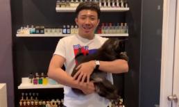 Trấn Thành mang mèo cưng 3000 USD  ra dự đoán tỉ số chung kết lượt về AFF Cup 2018