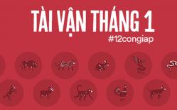 Dự đoán tài vận của 12 con giáp trong tháng đầu tiên của năm 2019: Tuổi Thân cần đề phòng hao tài tốn của