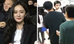 Dương Mịch hào hứng nhận giải thưởng, Lưu Khải Uy ôm con gái đi mua sắm 