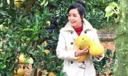 Khu vườn gần 100 cây bưởi và sai trĩu quả đúng dịp Tết của diễn viên Chiều Xuân