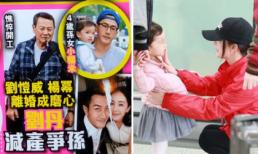 Lo sợ Dương Mịch giành quyền nuôi con, gia đình Lưu Khải Uy nhanh chóng có biện pháp chống đỡ 	