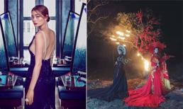 Người mẫu Hoàng Oanh bức xúc trước việc một nhóm người đốt cây để chụp ảnh nghệ thuật 