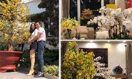 Nhà của MC Hoa Thanh Tùng ngập tràn sắc hoa vào dịp Tết nguyên đán