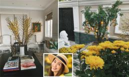 Không gian ngập tràn sắc hoa trong nhà Tăng Thanh Hà vào dịp Tết nguyên đán 2019