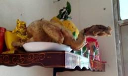 Sang nhà bạn chơi, thanh niên giật mình vì con gà cúng dị dạng trên bàn thờ