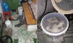 Nỗi ám ảnh của sinh viên sau hai tuần nghỉ Tết: Nồi cơm mốc meo, phòng trọ trở thành 'thiên đường' của chuột gián