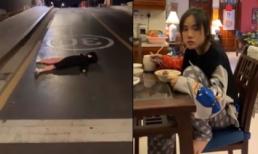 Phương Ly chia sẻ nỗi lòng của hội FA trong ngày Valentine