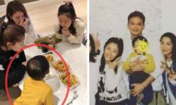 Sự thật việc Lâm Tâm Như công khai khoe con gái Cá Heo Nhỏ trên mạng xã hội 