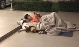 Vợ bức xúc khi chồng nửa đêm mang chăn ra ngủ với 'bồ' vì... nó bị kiến đốt