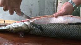 Vào nhà hàng ăn cá sấu hỏa tiễn, 5 người nhập viện