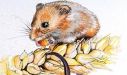 Vừa bước sang tháng 4, những con giáp này đã bùng nổ cả tài vận lẫn sự nghiệp, giàu sang chỉ sau 1 đêm