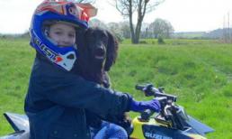 Harper như tay đua chuyên nghiệp dưới ống kính của bố David Beckham 