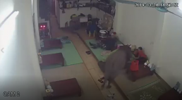 Hà Nội: một con trâu bất ngờ 'đột nhập' lúc cả nhà đang ngủ, giương sừng nhằm thẳng bé trai để húc