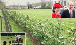 Công nương Kate và Hoàng tử Harry chi gần nửa tỷ đồng để làm hàng rào bảo vệ sự riêng tư