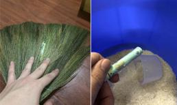 Chăm chỉ làm việc nhà, nộp hết lương vẫn bị vợ phát hiện ra chỗ giấu tiền 'cực hóc' thế này