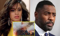 Nhà thờ Đức Bà Paris bị tàn phá, dàn sao thế giới sốc, buồn tiếc thương