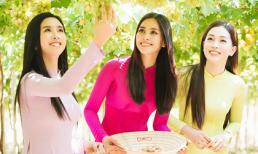 Tiểu Vy, Phương Nga, Thúy An diện áo dài nền nã khoe sắc dưới nắng vàng ươm