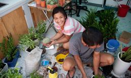 Bị dè bỉu 'hôi hoa', ca sĩ Phương Vy lại hạnh phúc với vườn cây xanh rì tươi tốt cả nhà chung tay trồng