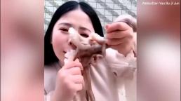 Cô gái nhận cái kết đau đớn khi cố gắng livetream ăn bạch tuộc sống