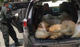 Đường dây ma túy Kentamin 500 tỉ đồng đã bị bắt như thế nào?