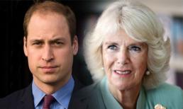 Bí ẩn về cuộc gặp của William và bà Camilla khiến Hoàng tử đến tận bây giờ vẫn không chấp nhận mẹ kế