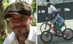Bị cấm lái ô tô, David Beckham quay sang xài xe 2 bánh, rủ thêm các con đạp xe cho thêm xôm tụ 