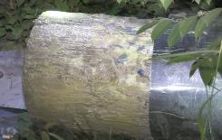 3 câu hỏi từ lời khai của nữ nghi can giết người bỏ xác vào bê tông