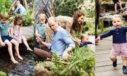 Khoảnh khắc đắt giá của vợ chồng Công nương Kate giữa tin đồn ly hôn với giá 5,8 nghìn tỷ khiến người dùng mạng bất ngờ