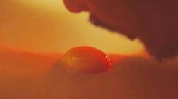 Cảnh phim húp lòng đỏ trứng gà đêm tân hôn trong phim 'Vợ ba' có nghĩa gì?