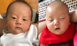 Trà My khoe ảnh hai con trai thuở mới đầy tháng, Hà Tăng đã bình luận một câu ai cũng gật gù