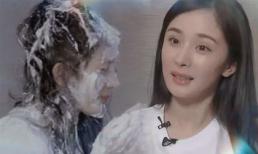 Dương Mịch cao tay khoe thứ 'cực phẩm' này chứng minh đẳng cấp sau ly hôn chồng