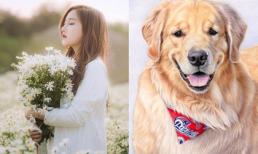 3 con giáp đen tận mạng, không ngóc đầu lên nổi trong tháng 7/2019