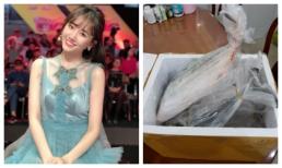 Bất ngờ với món quà fan ruột đều đặn gửi tặng Hari Won hàng năm