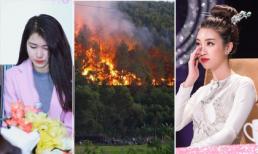 Hoa hậu Đỗ Mỹ Linh, Hoà Minzy hướng về vụ cháy gây thiệt hại lớn ở Hà Tĩnh