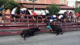 Bị bò tót húc điên cuồng, người đàn ông sống sót khó tin