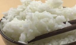 Cơm để qua đêm có ăn được không, nhiều người sẽ giật mình khi biết đáp án