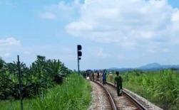 Lái tàu trượt chân ngã thiệt mạng ở Phú Thọ