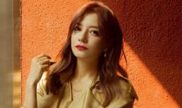 Thực hư chuyện Triệu Vy bị bắt khi bỏ trốn sang nước ngoài vì không đủ tiền bồi thường thua kiện tội lừa đảo 