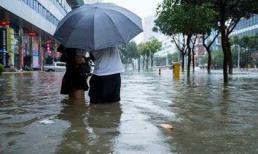 Trước khi vào Việt Nam, bão Wipha đã đổ bộ Trung Quốc biến nhiều tuyến đường thành sông