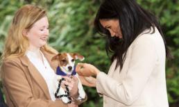 Dù đang trong thời kỳ nghỉ thai sản, Meghan Markle vẫn chuẩn bị ra mắt cuốn sách đầu tay với nội dung không ai ngờ