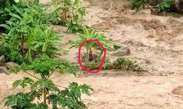 Thiệt hại do hoàn lưu bão số 3: Ít nhất 4 người chết và 13 người mất tích