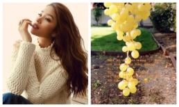 Hơn 1 năm sinh sống ở Mỹ, Phạm Hương thú nhận: 'Từ bỏ hào quang là điều tôi mơ ước từ lâu'